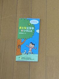 配布した資料