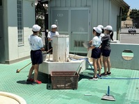 水道の蛇口が足りないので目洗い場も利用してバケツに水をくんでいます