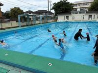 はばたき「水慣れ」です