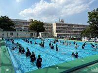 水慣れです