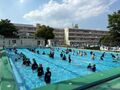 水慣れです