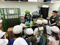 「スイカの妖精?」だそうです