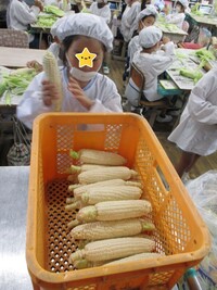 きれいにむけたら丁寧に並べます