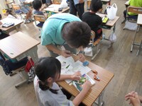 先生がカッターで切ります