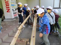どんぐりコロコロ