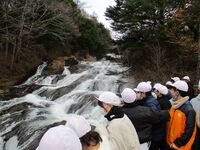 2日目、竜頭の滝です