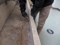 カビや汚れを落とします