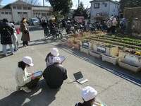 ヘチマの観察 4年