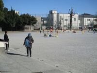 強風、土埃、寒波・・・体育の見学、ありがとうございます!