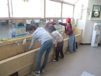 整備委員会　流しの汚れはしつこいです