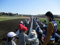 手渡しで種イモを頂きます