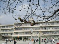 春の陽気で子どもたちは元気に遊んでいます