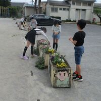 草取りをしました【栽培委員会】