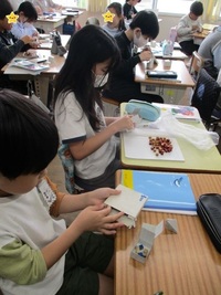 箱の中に1㎝四方の積み木がいくつ入るかな(5年)