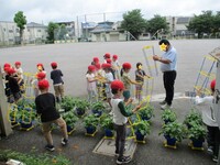「よいしょ!」と引っ張って、上手に四角い形に広げます。