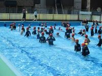 夏の日差しが水をきらめかせます!
