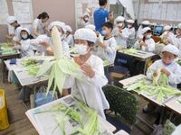 さいたま市の農家さんが大切に育てました