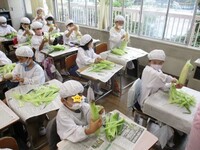 品種は「雪の妖精」甘みが強く、フルーティな味わいです