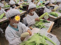 丁寧に皮をむいていきます