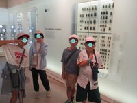 世界中のカブトムシ展示の前で