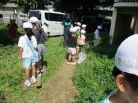 東側の草むらにいそうだよ